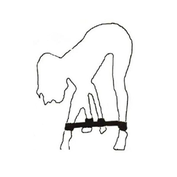 Bracelets de cheville réglables pour femmes, bondage sexy, menottes, retenue, lingerie Linge, produits porno, adulte, 7.0 – Image 2