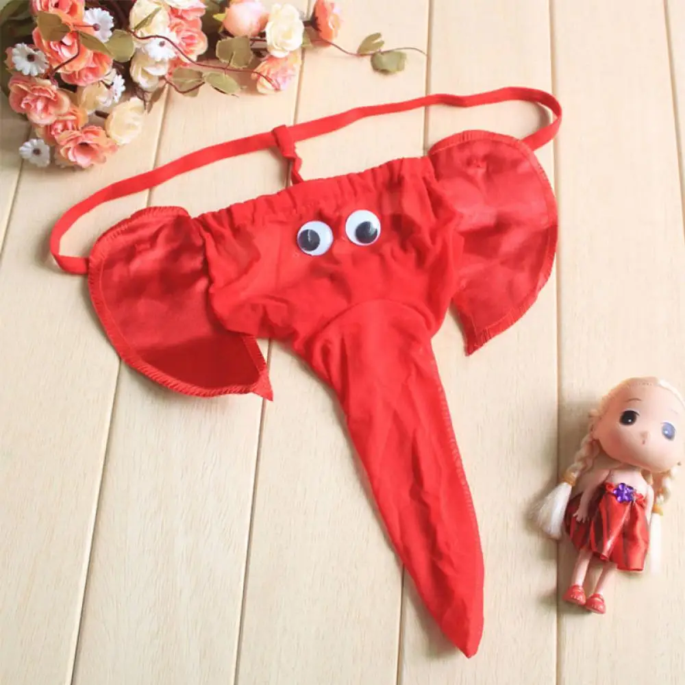 Slip Sexy t-back avec poche bombée, string éléphant, sous-vêtements tanga