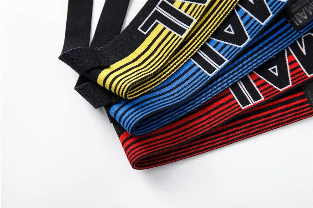 Jockstrap en nylon à séchage rapide pour hommes, sous-vêtements gay sexy, slip bikini pour hommes, short de bain tanga ou short de bain