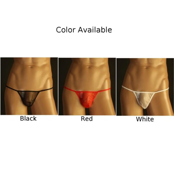 T-string sexy pour hommes, lingerie gay, taille basse, slip en maille ultra-mince, transparent, bikini, caleçon – Image 6