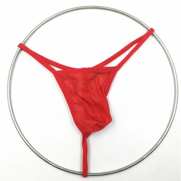 T-string sexy pour hommes, lingerie gay, taille basse, slip en maille ultra-mince, transparent, bikini, caleçon – Image 5