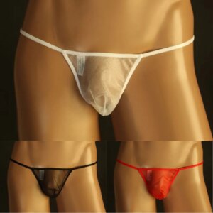T-string sexy pour hommes, lingerie gay, taille basse, slip en maille ultra-mince, transparent, bikini, caleçon