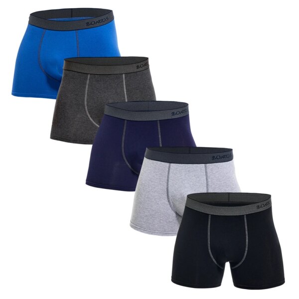 Lot de 5 boxers et caleçons en coton pour hommes, sous-vêtements de marque masculine, ensemble de luxe sexy, slip cadeau, 2023