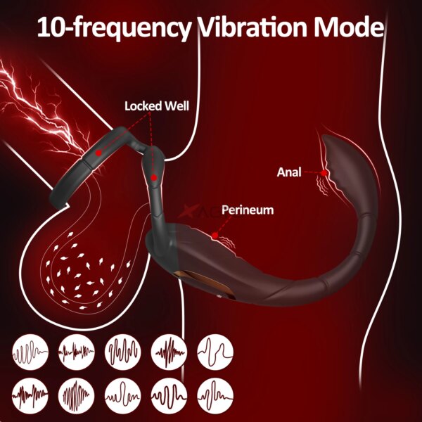 Vibromasseur de Prostate pour homme, anneau pénien, Double anneau, Plug Anal, retarde l'éjaculation, masturbateur masculin, jouets sexuels pour hommes